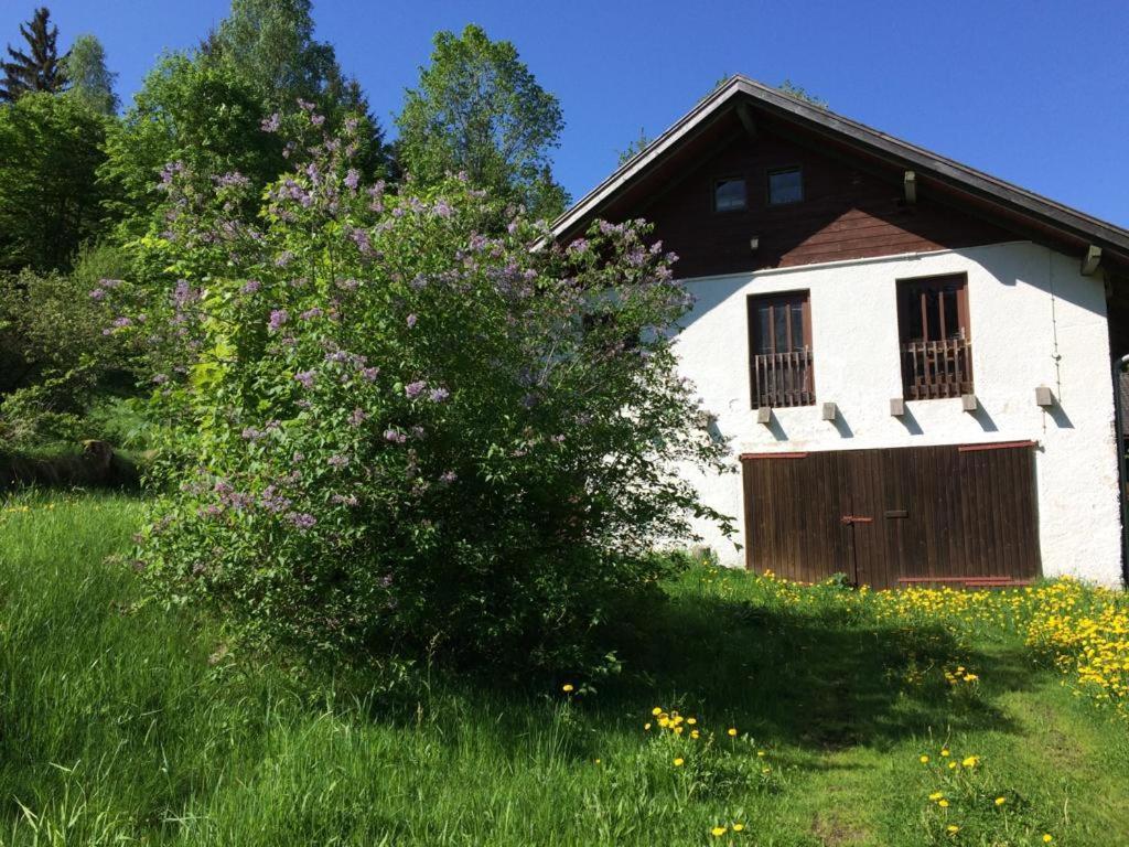 Ferienwohnung Gut Eschlsaign Arrach Εξωτερικό φωτογραφία
